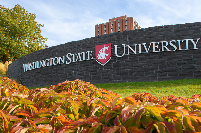 Bảng tên trường Washington State University