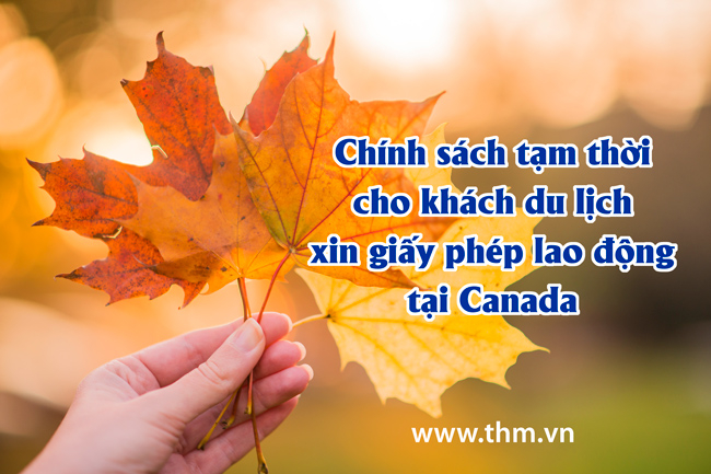 Chính sách tạm thời cho phép khách du lịch xin giấy phép lao động tại Canada