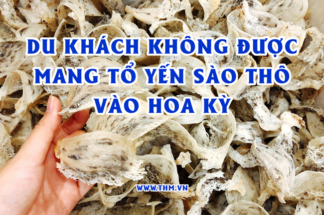 Du khách không được mang tổ yến sào thô vào Hoa Kỳ